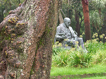 profundidad de campo